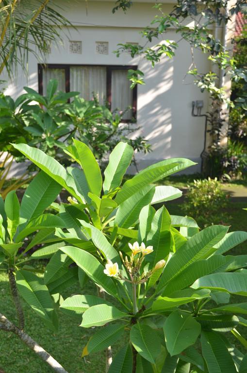 Wijaya Guest House Ubud Exteriör bild